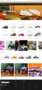 Puma cloned site